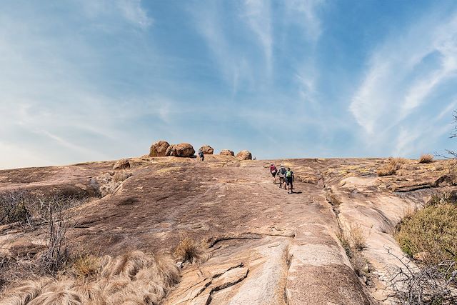 Voyage Safari au Zimbabwe, perle de l'Afrique australe