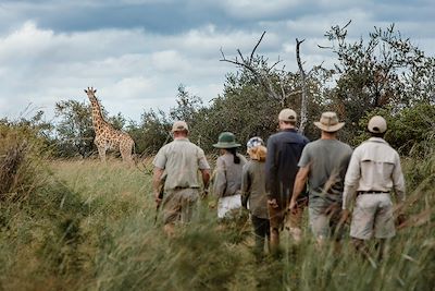 Tsowa Safari Island - Zimbabwe