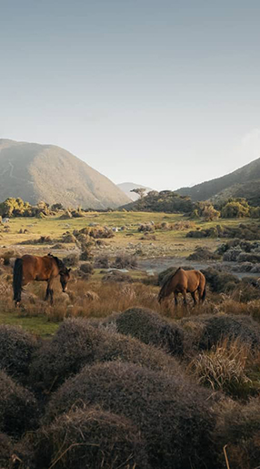 Voyage Nouvelle-Zélande