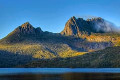 Tasmanie