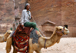 Randonnée avec chameau