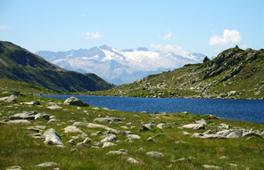 Les massifs pyrénéens et cantabriques © Sarah Modolo