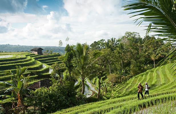 © Viberphoto.com - Bali - Indonésie