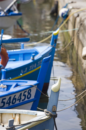 Les traditions locales en Corse © Laurent Boiveau