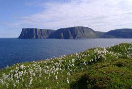 Laponie, cap Nord