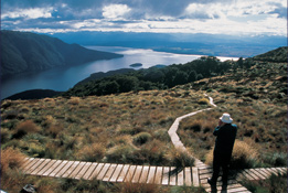 Alpes du sud et fjords