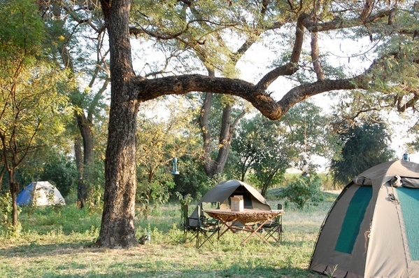 PARC DU TARANGIRE - Campement dans le parc national de Tarangire - Tanzanie - Olivier Charmes