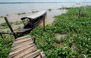 © Fançois Vanniere - Vietnam